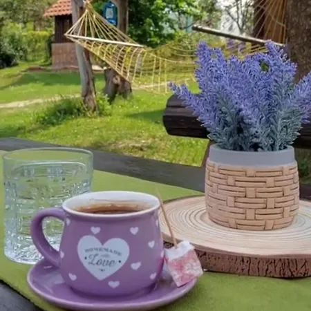 Palanacka Avlija 2 Ripanj