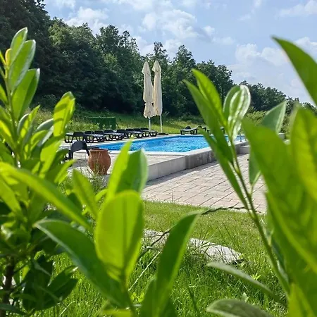 Palanacka Avlija 2 Ripanj